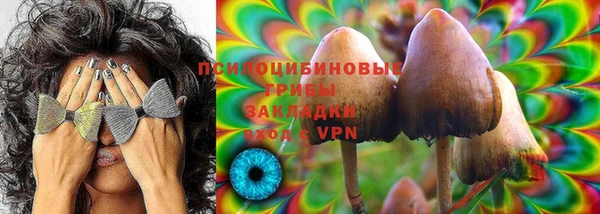 прущие крисы Касимов