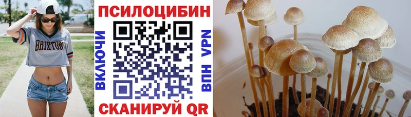 Галлюциногенные грибы Magic Shrooms  Карабаново 